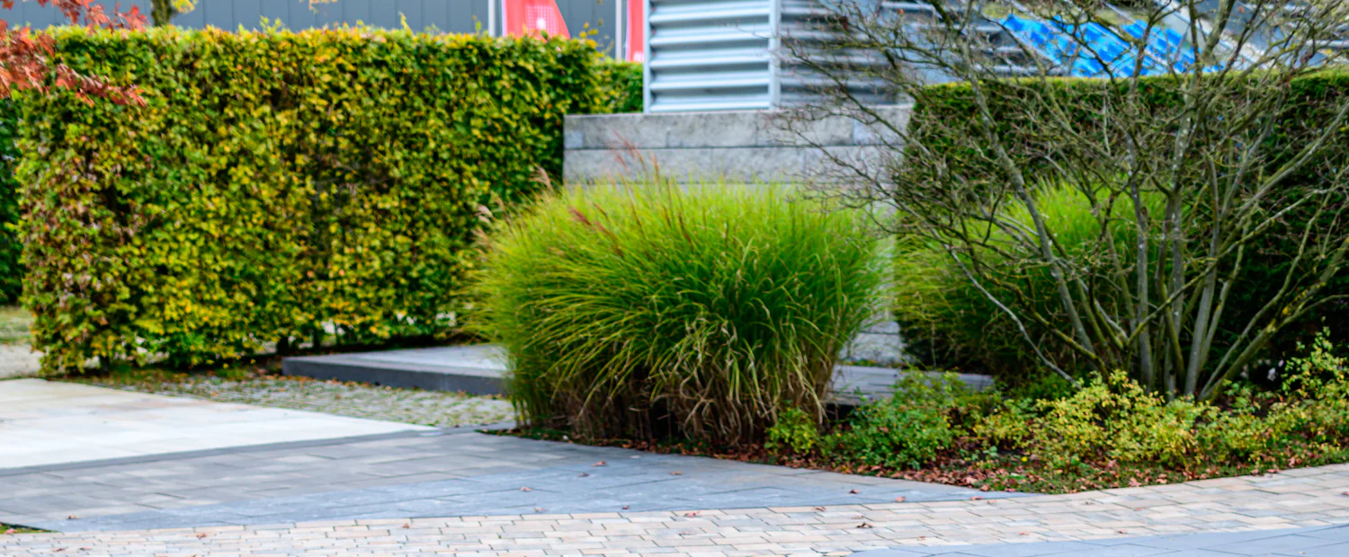 A finished curved patio in cut pavers, with a low seat wall and planted beds behind it.