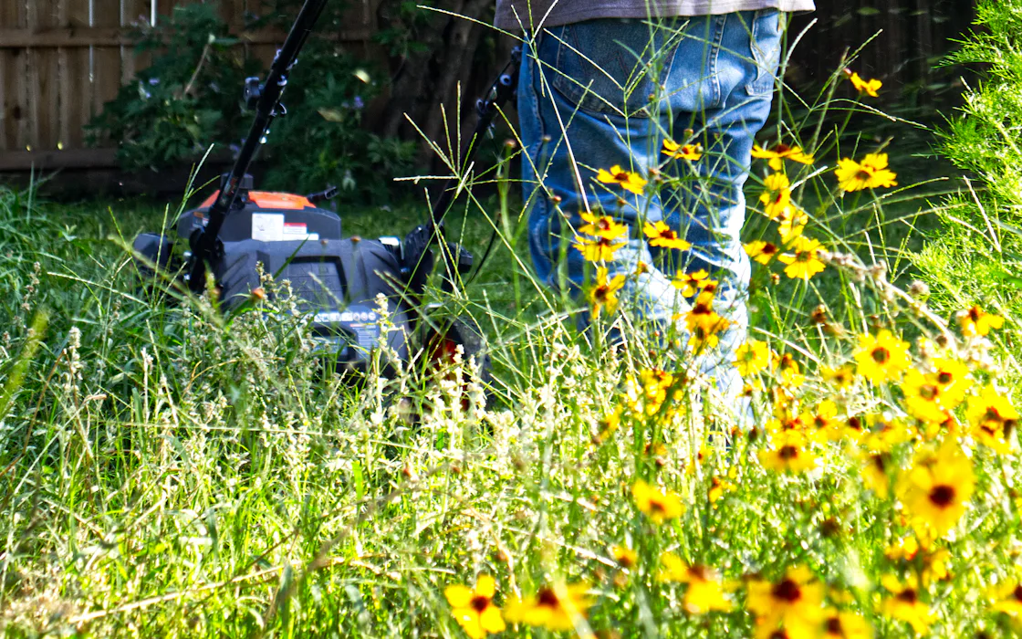 A worker running a string trimmer through tall grass and yellow wildflowers.